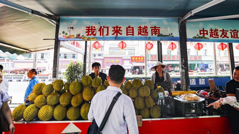 维特塞尔的